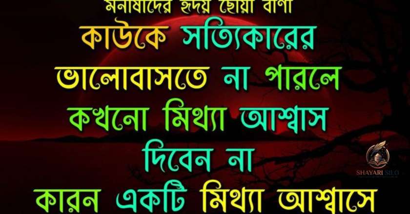 Bangla Shayari Text
