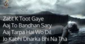 Top Urdu Shayari in English
