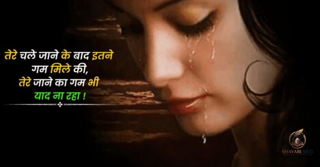 Dhokebaaz Shayari in Hindi